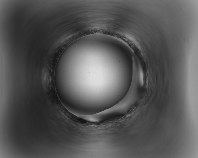 X0000089350872200706151059