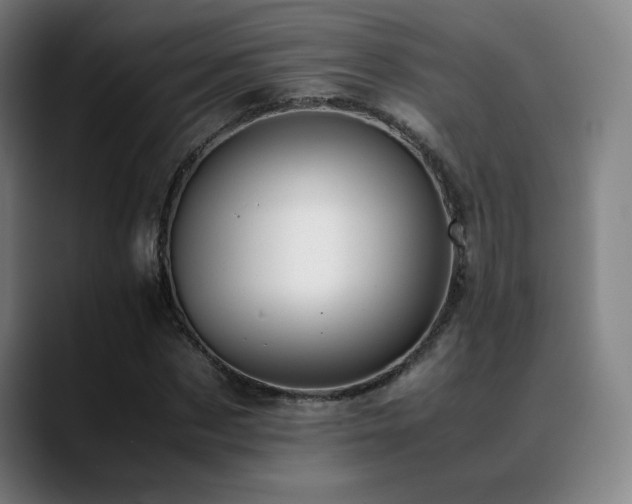 X0000089350873200706151059