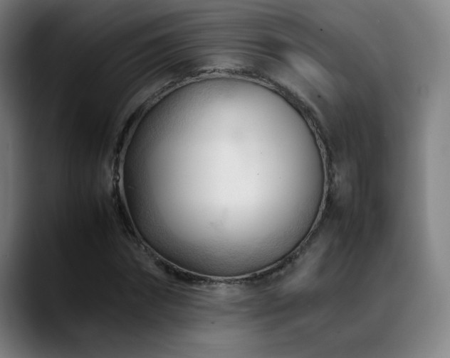 X0000089350874200706151059