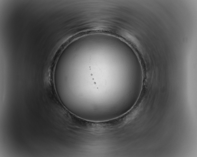 X0000089350875200706151059