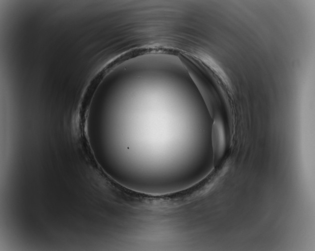 X0000089350876200706151059