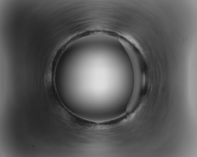 X0000089350877200706151059