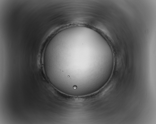 X0000089350878200706151059