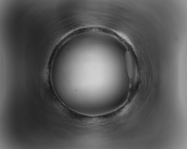 X0000089350879200706151059