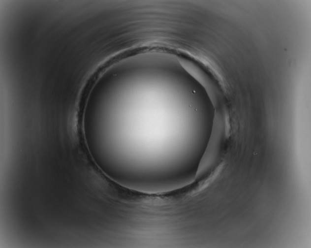 X0000089350880200706151059