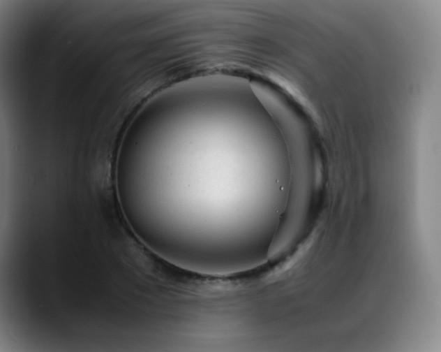X0000089350881200706151059