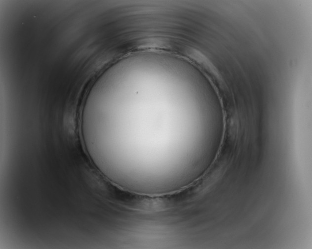 X0000089350882200706151059