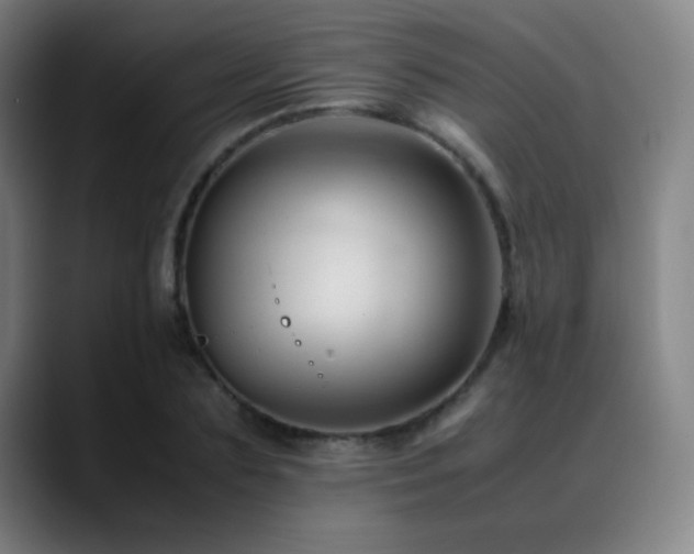 X0000089350883200706151059