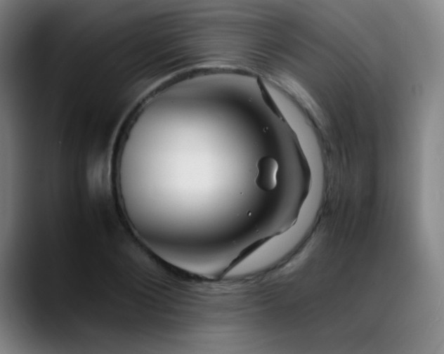 X0000089350884200706151059