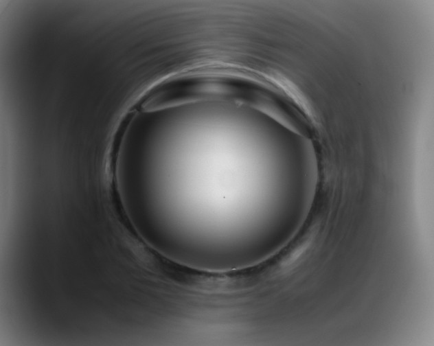 X0000089350885200706151059