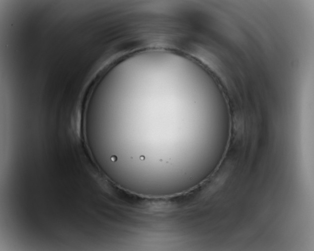 X0000089350886200706151059