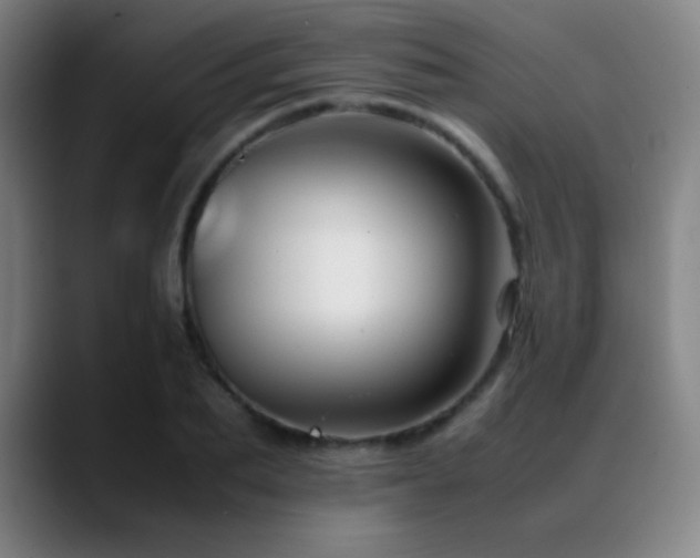 X0000089350887200706151059