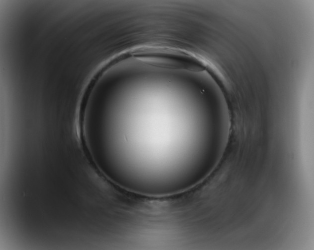 X0000089350888200706151059