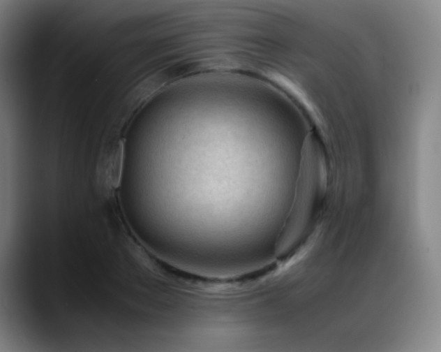 X0000089350889200706151059