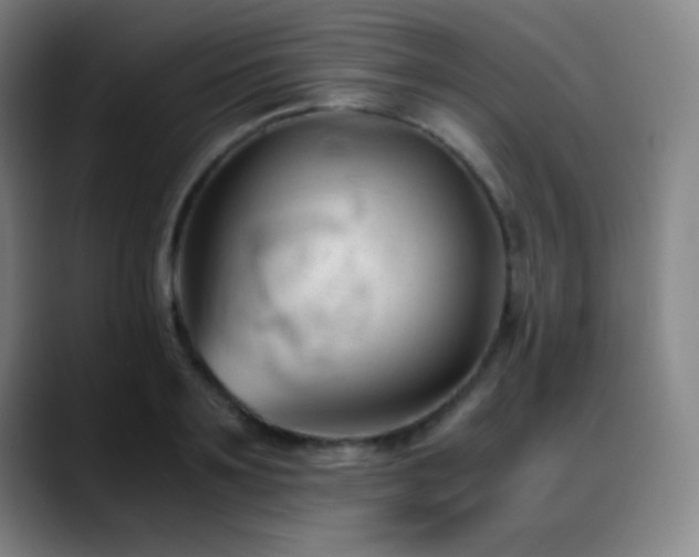 X0000089350891200706151059