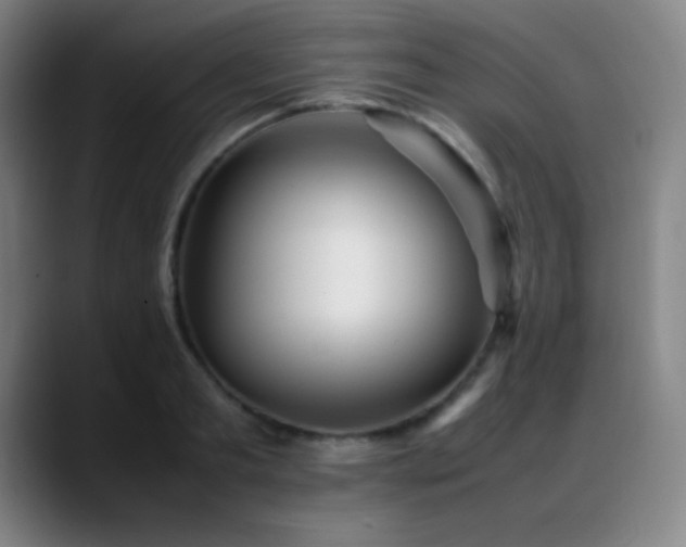 X0000089350893200706151059