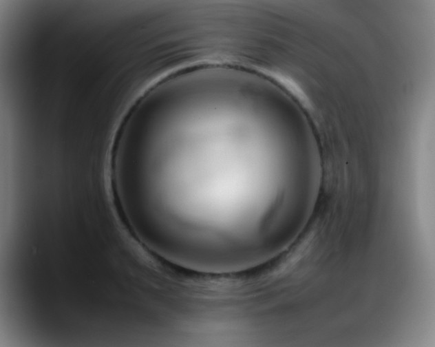 X0000089350895200706151059