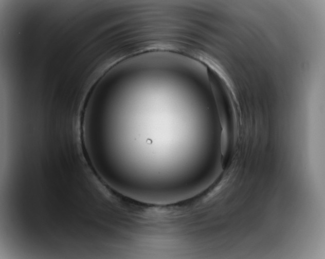 X0000089350898200706151059