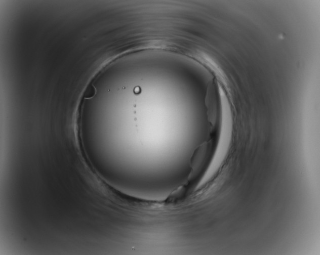 X0000089350899200706151059