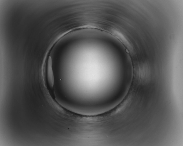 X0000089350900200706151059