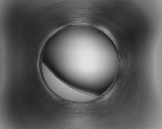 X0000089350901200706151059