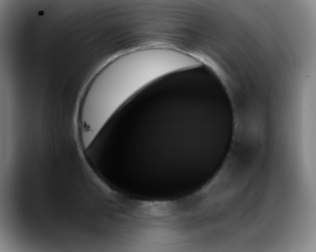 X0000089350902200706151059