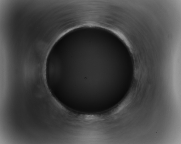 X0000089350903200706151059