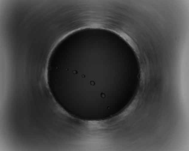 X0000089350904200706151059