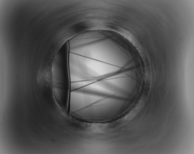 X0000089350905200706151059