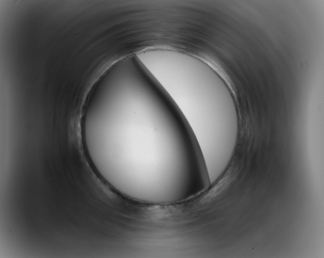 X0000089350906200706151059