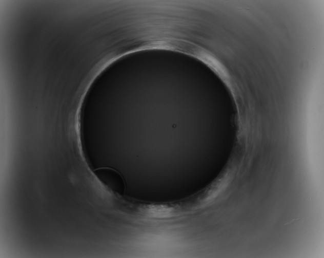X0000089350907200706151059