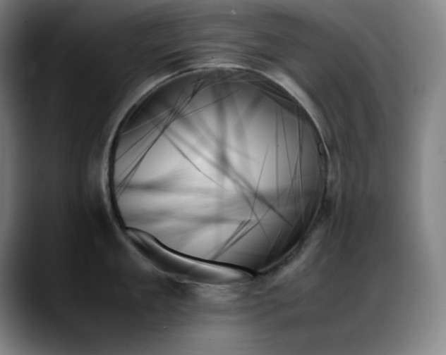 X0000089350909200706151059