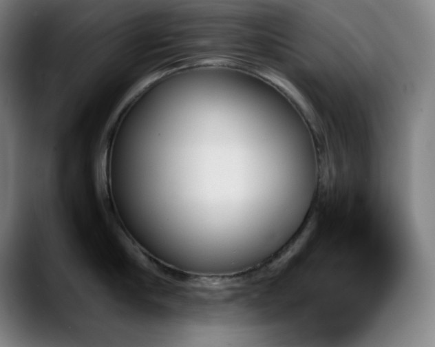 X0000089350910200706151059