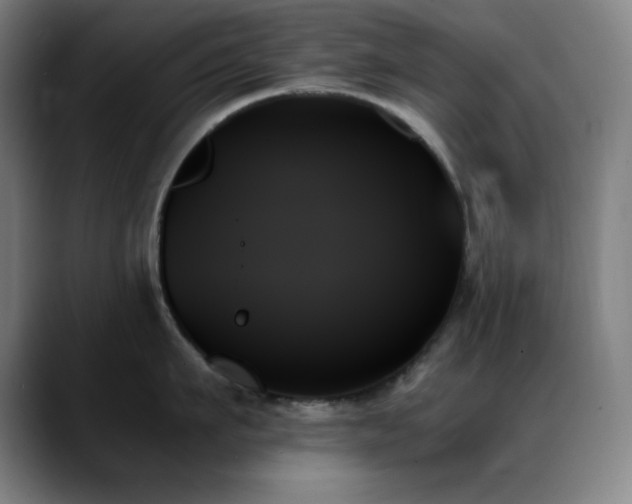 X0000089350911200706151059