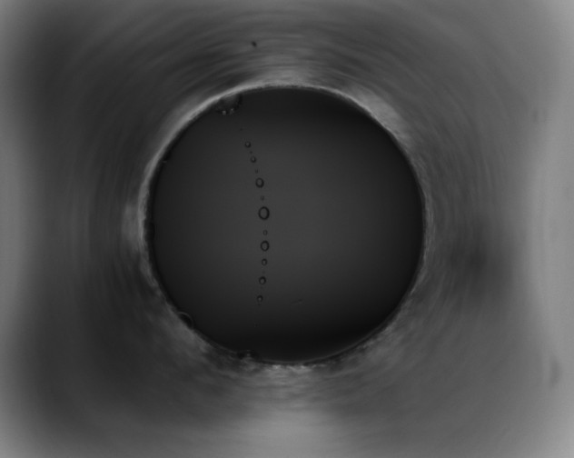X0000089350912200706151059