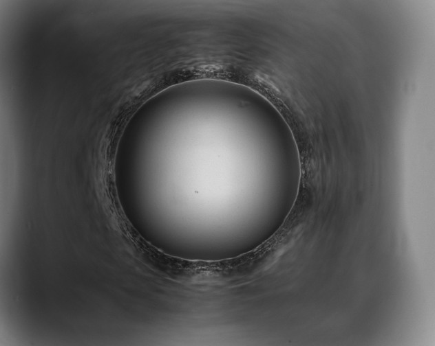 X0000089350913200706151058