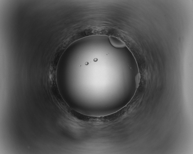 X0000089350914200706151058