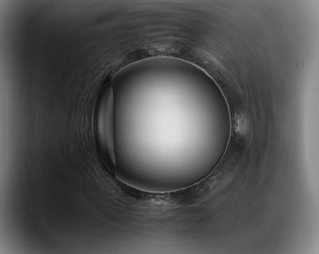 X0000089350915200706151058