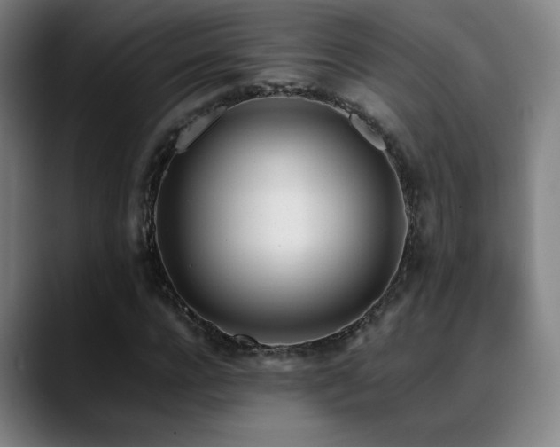 X0000089350920200706151058