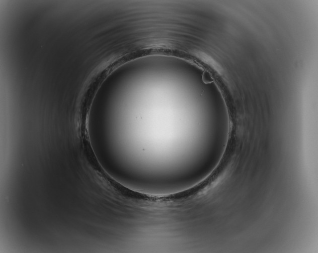 X0000089350922200706151058