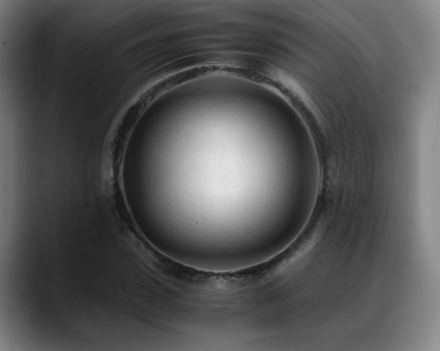 X0000089350923200706151058