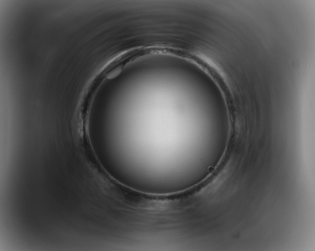 X0000089350925200706151058