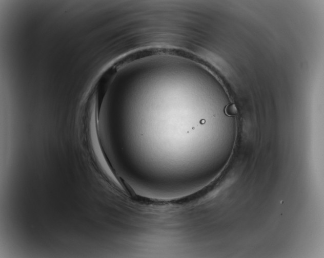 X0000089350926200706151058