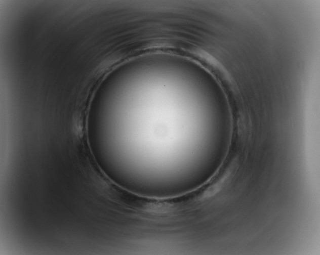 X0000089350929200706151058