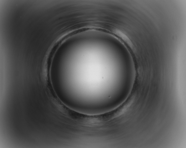 X0000089350931200706151059