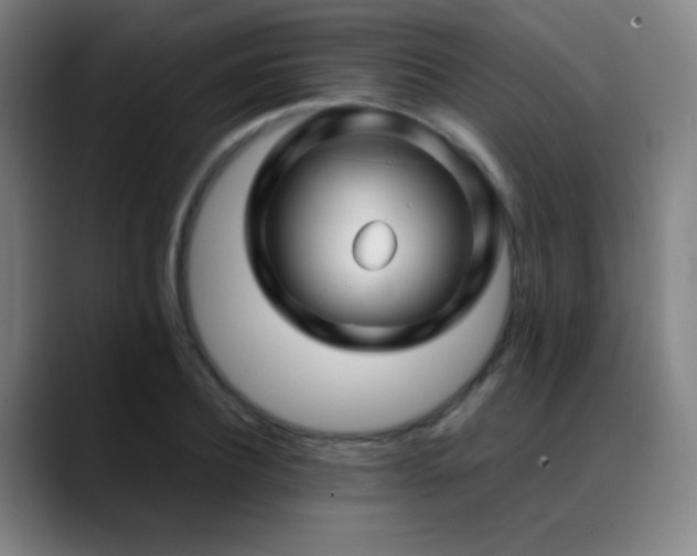 X0000089350932200706151059