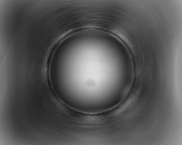 X0000089350933200706151059