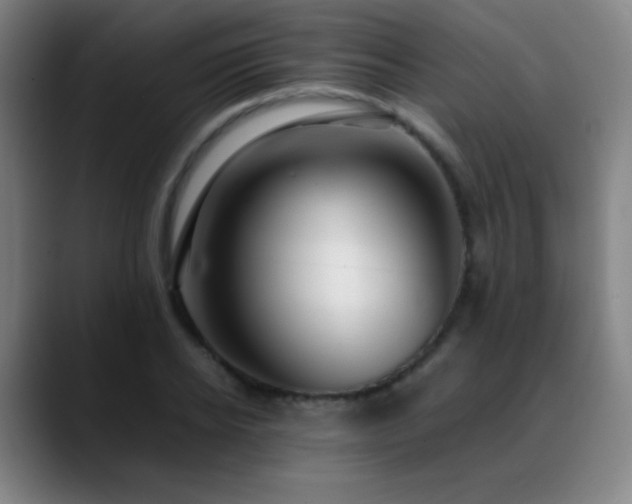 X0000089350934200706151059