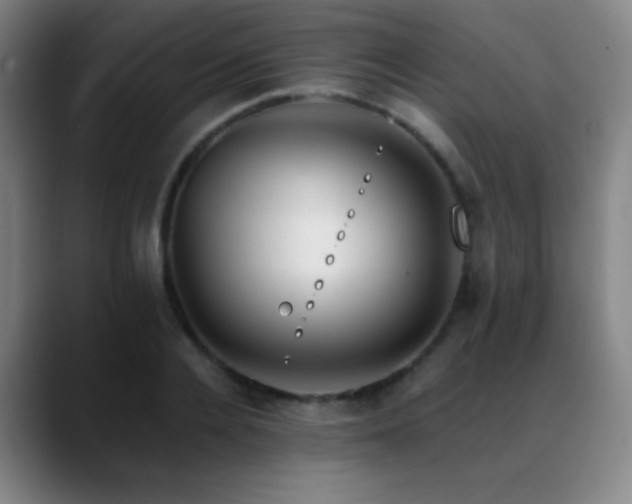 X0000089350936200706151059