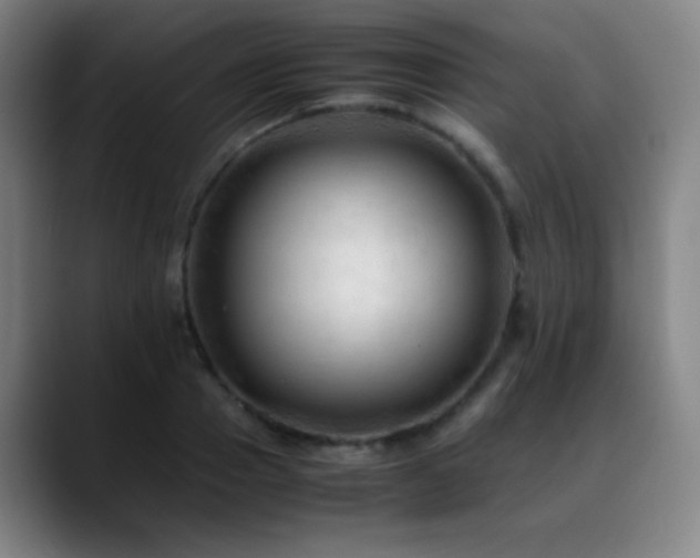 X0000089350937200706151059